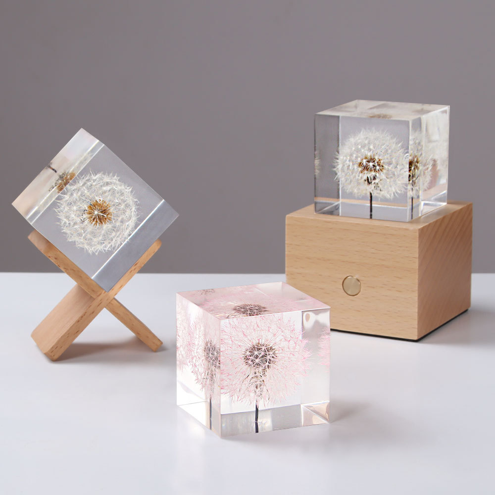 Flower Preservation Resin - Fleurs fraîches préservées de pissenlit et