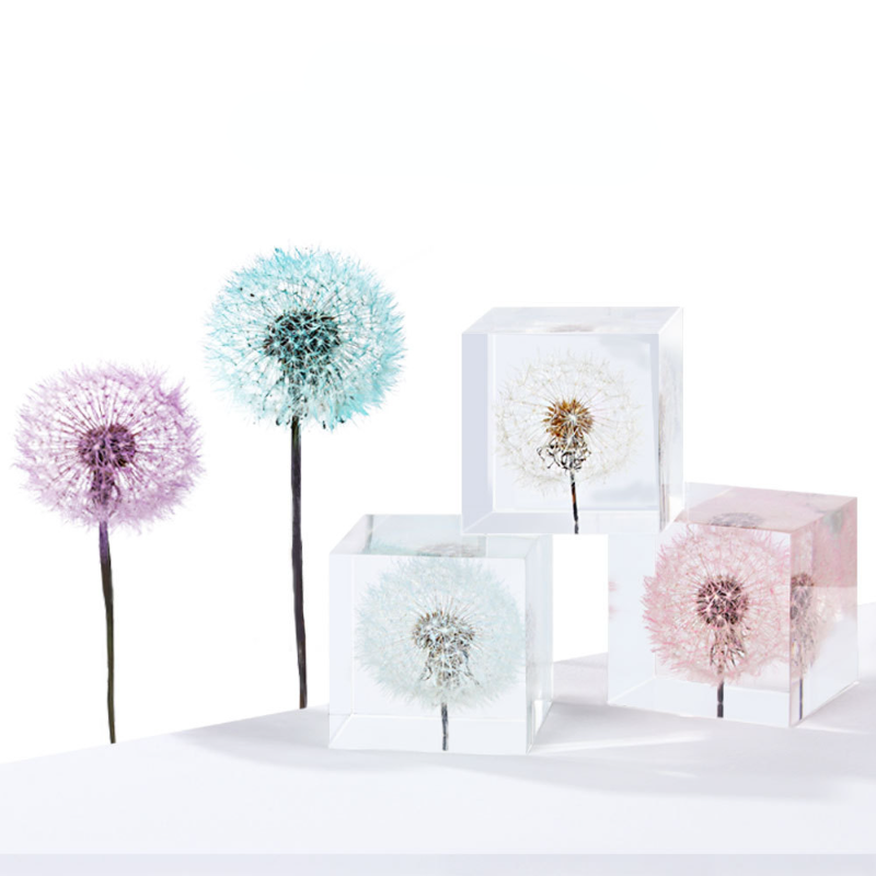 Fleurs fraîches préservées de  - Flower Preservation Resin avis et prix