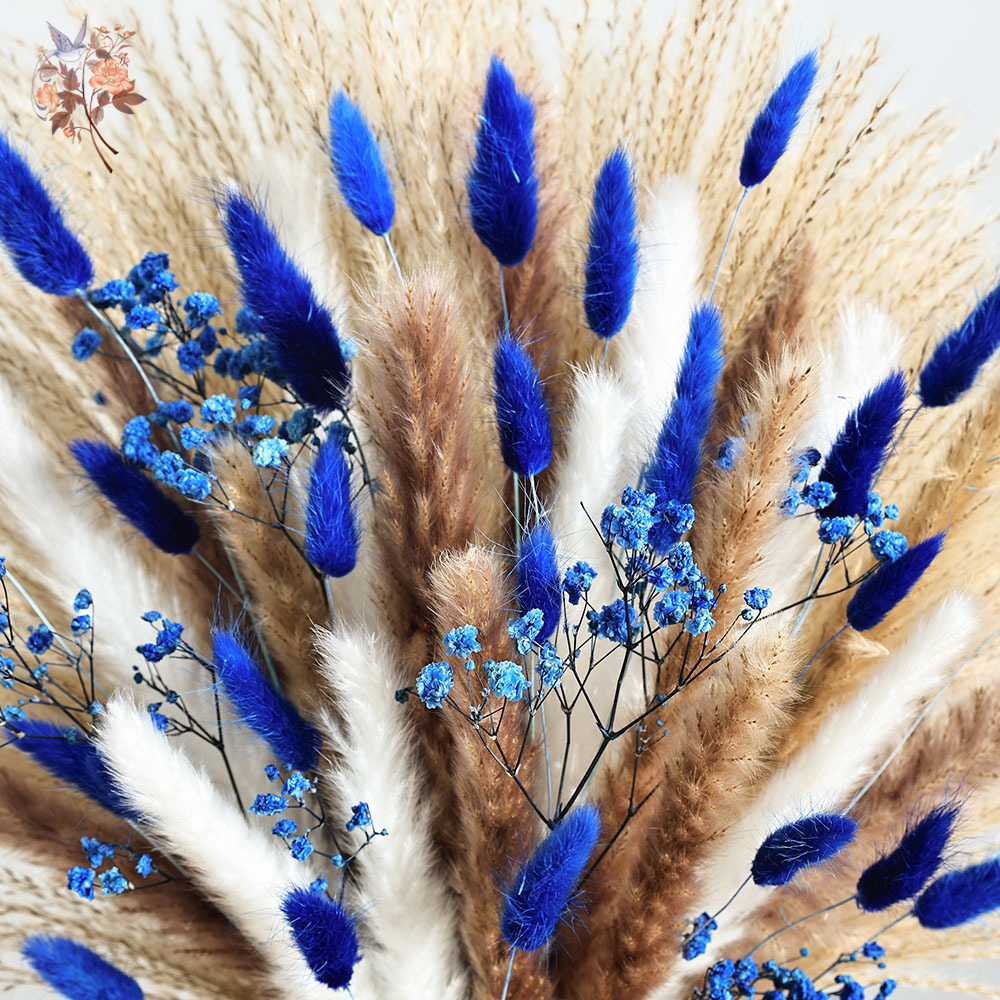 Queue de lapin moelleuse bleue - Dried Flower Bulk avis et prix