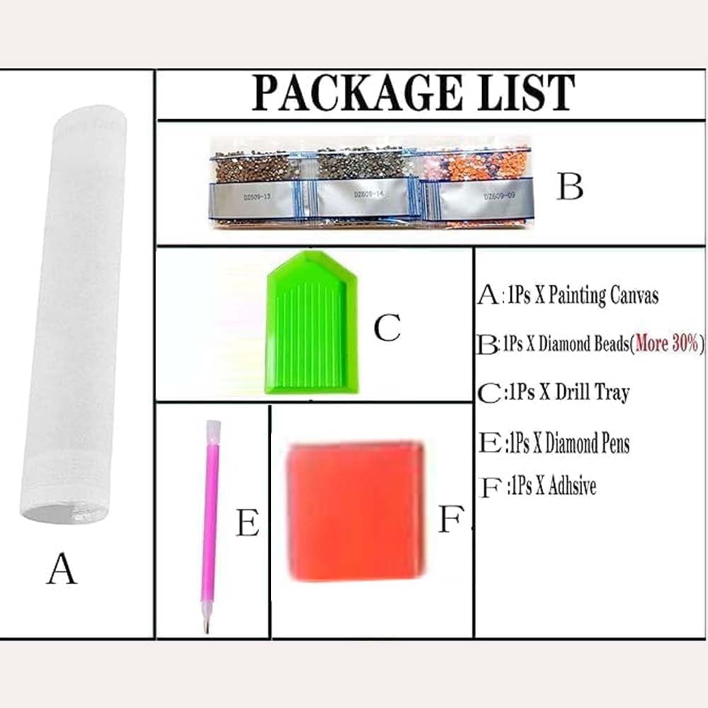 Kits de Peinture Diamant Tortu - Resin Craft For Beginners avis et prix