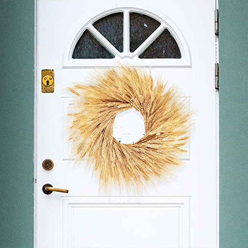 Sunks de blé séché pour la déc - Dried Flower Bulk avis et prix