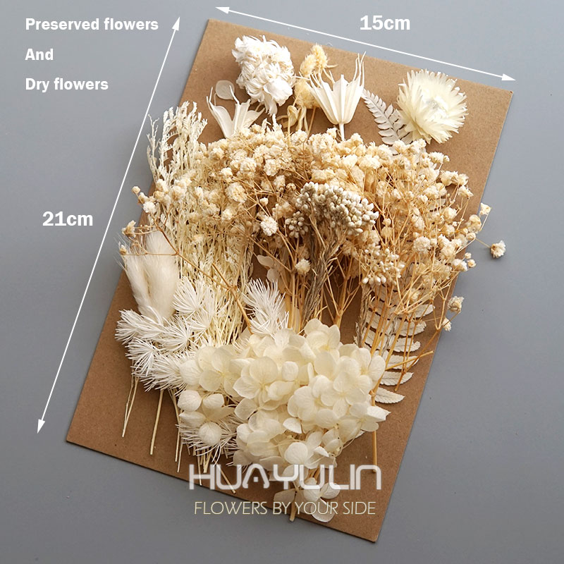1 paquet de plantes artificiel - Flower Preservation Resin avis et prix